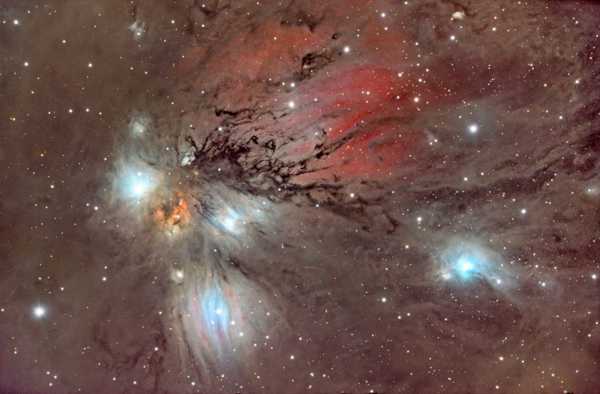 NGC 2170 Nebulosa del Ángel